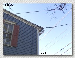 Squirrel damaged trim