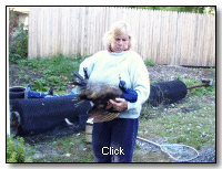 Anne, The Peacock Lady....