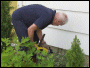 Move those plants!