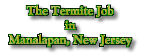The Termite Job in Manalapan, New Jersey