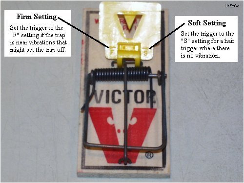 Snap Trap Setting Guide