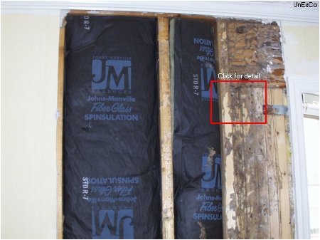 Open a wall, discover termites