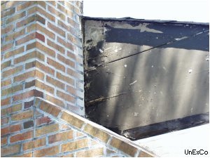 Termites all the way to the roof