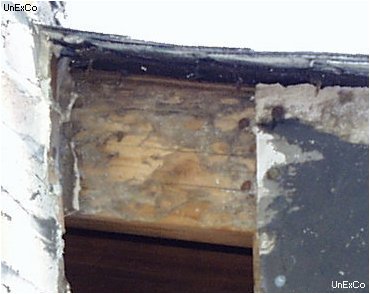 Close up termite evidence