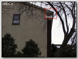 Squirrels in the soffit