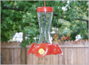 hummingbird feeder