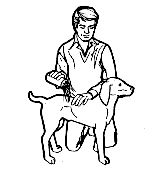 Wash Your Pet!