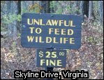 DON'T FEED WILDLIFE!